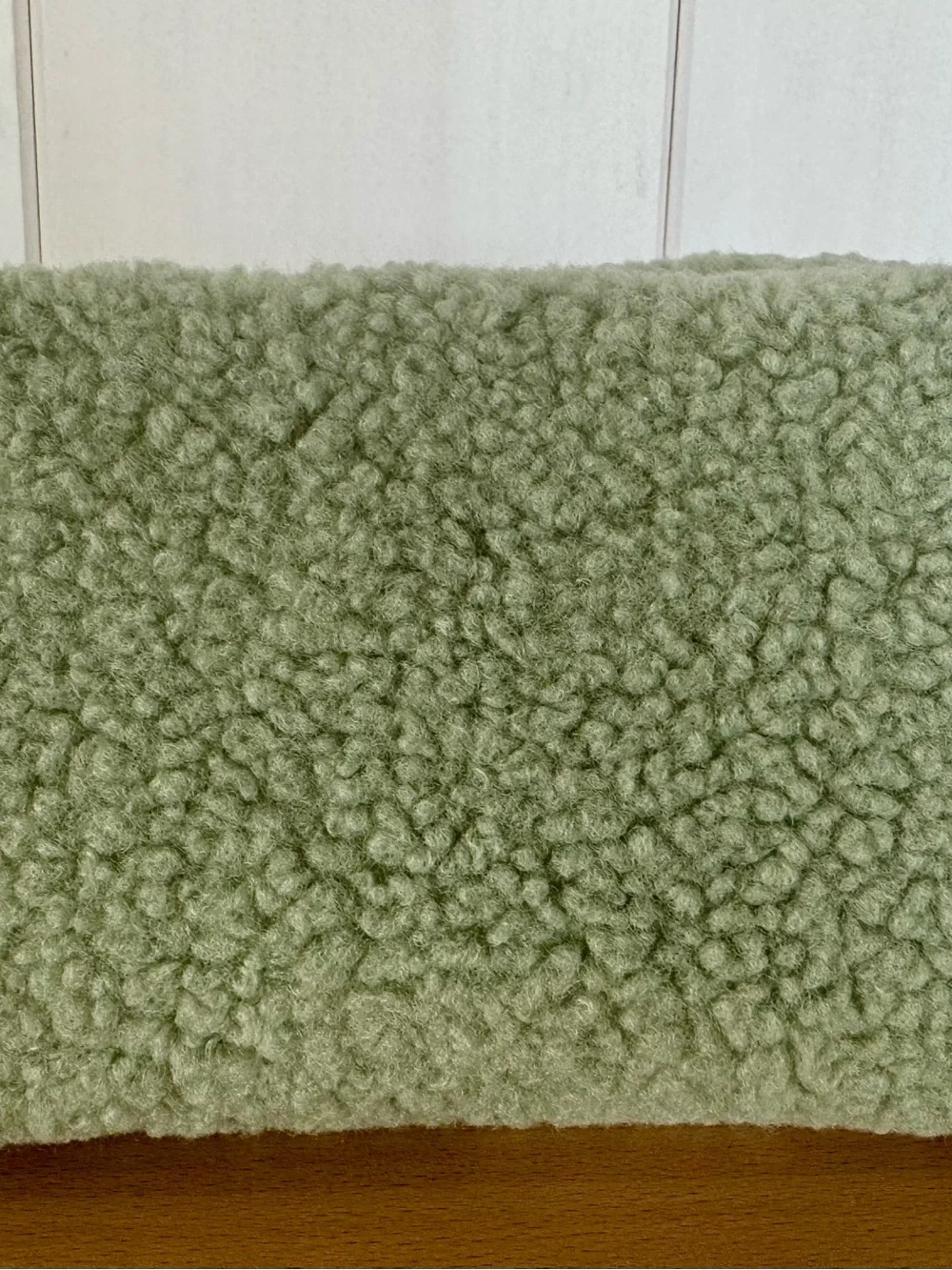 Limited Edition Summer Fridays Sage Green Sherpa Plush Large Makeup Bag